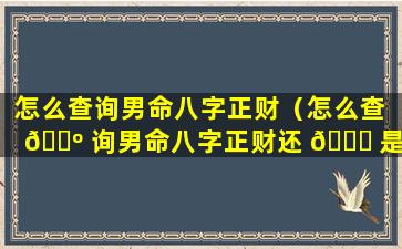 怎么查询男命八字正财（怎么查 🌺 询男命八字正财还 🐋 是偏财）